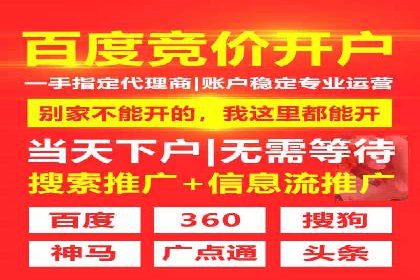 某某sem代运营公司成功案例：提高转化率